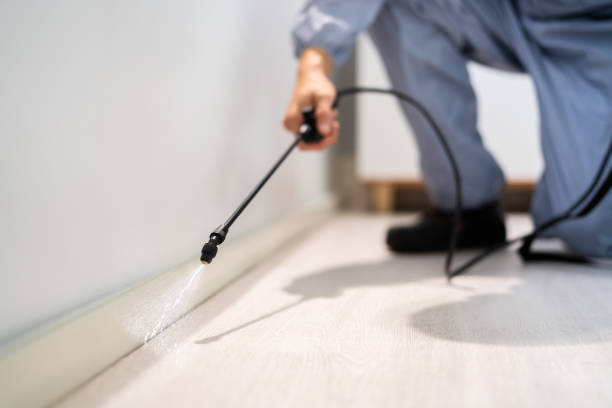 Licensed Rodent Control service in Johnson County County, KY - Nex Pest Control